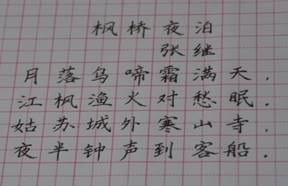 照片 495